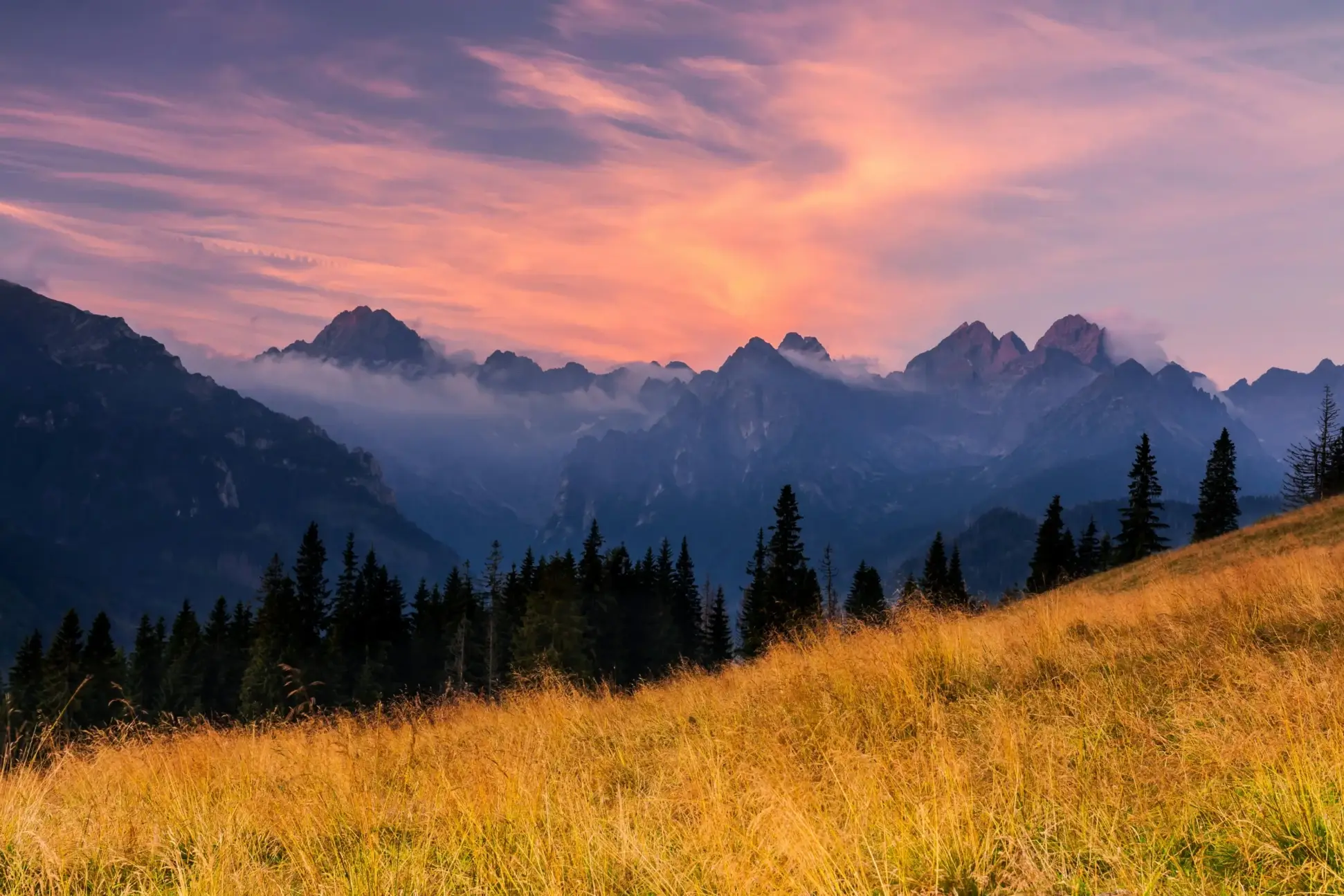 pexels-dawid-zawila-2151273316-32906967