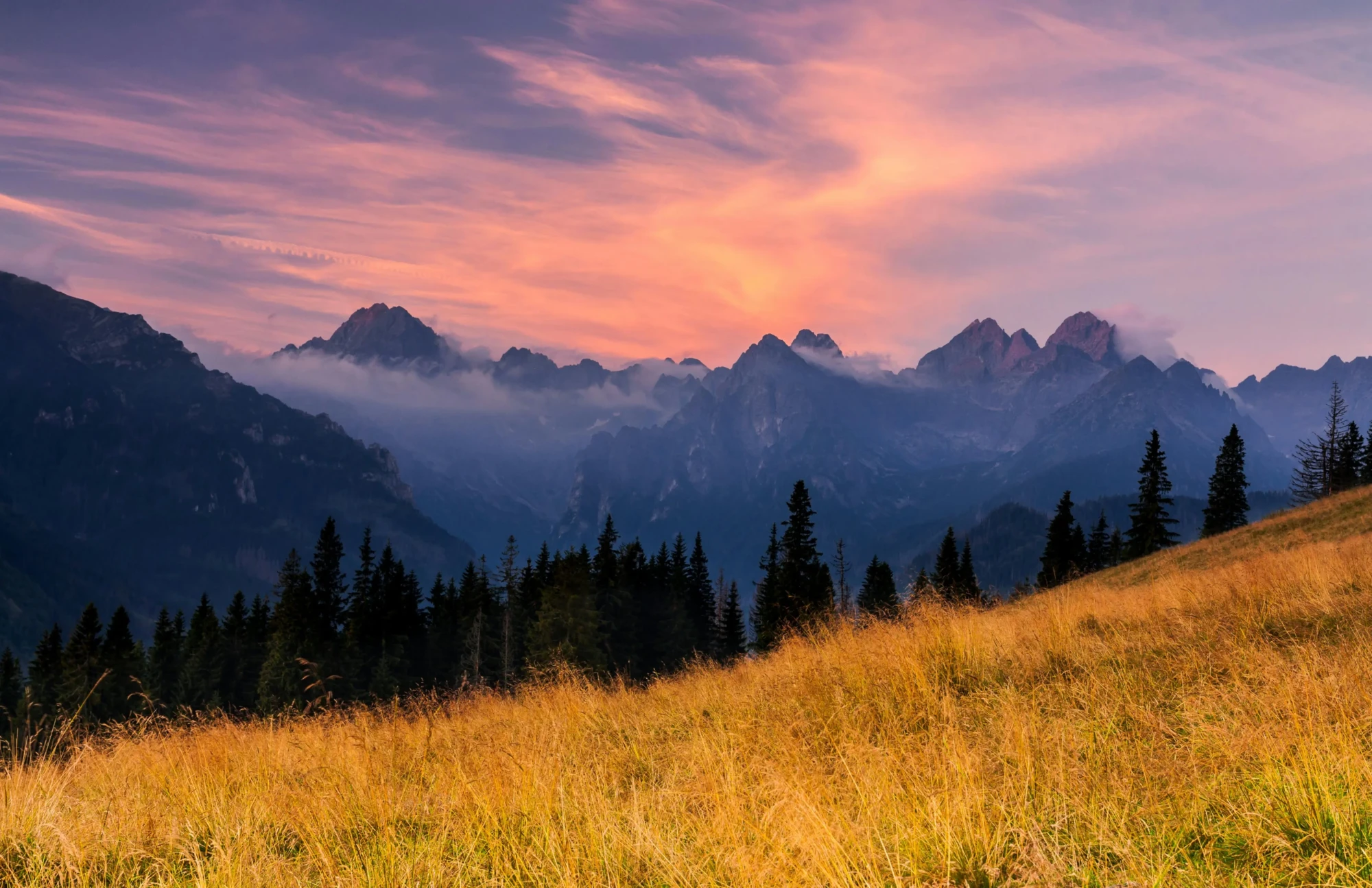 pexels-dawid-zawila-2151273316-32906967